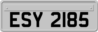 ESY2185