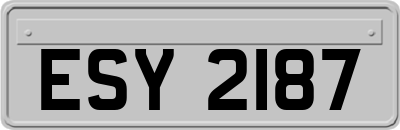 ESY2187