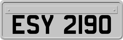 ESY2190