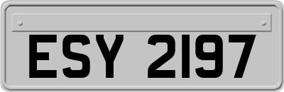 ESY2197