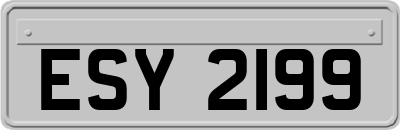 ESY2199