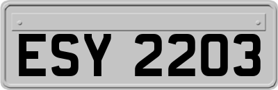 ESY2203