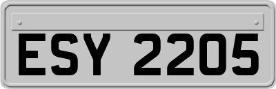 ESY2205
