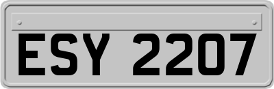 ESY2207