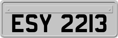 ESY2213