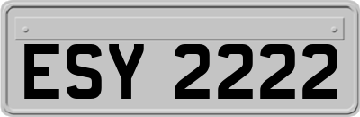 ESY2222