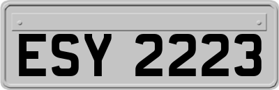 ESY2223