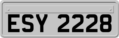 ESY2228
