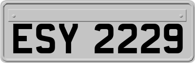 ESY2229
