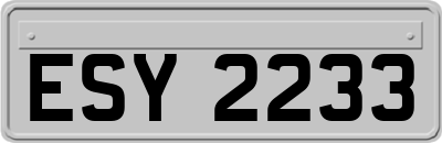 ESY2233