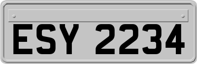 ESY2234