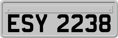 ESY2238