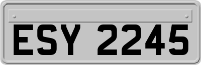 ESY2245