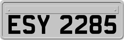 ESY2285