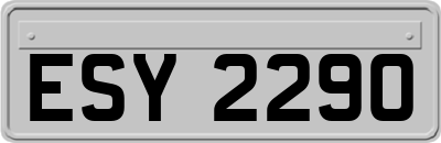 ESY2290