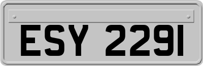 ESY2291