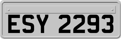 ESY2293