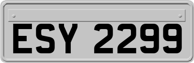 ESY2299