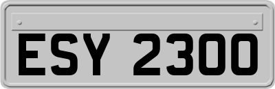 ESY2300