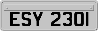 ESY2301