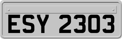 ESY2303
