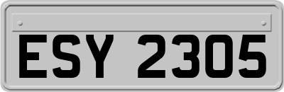 ESY2305