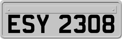 ESY2308