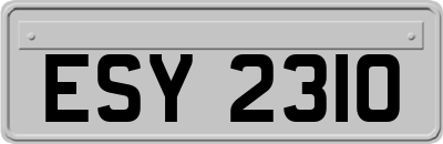 ESY2310