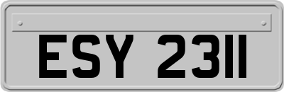 ESY2311