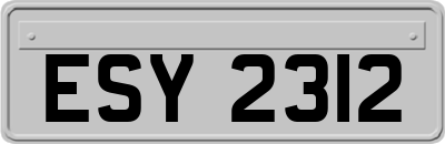 ESY2312