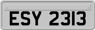 ESY2313