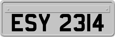 ESY2314