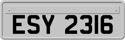 ESY2316