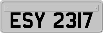 ESY2317