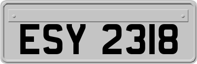 ESY2318