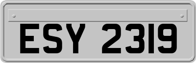 ESY2319