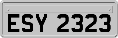 ESY2323