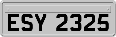 ESY2325