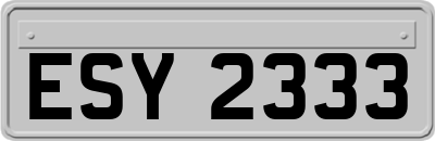 ESY2333