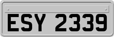 ESY2339