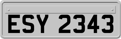 ESY2343