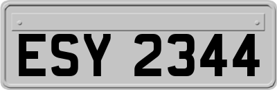 ESY2344