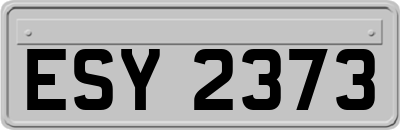 ESY2373