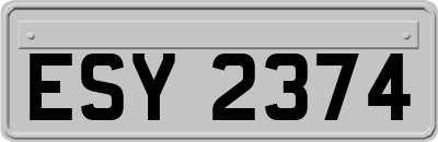 ESY2374