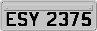 ESY2375