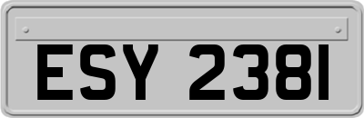 ESY2381