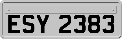 ESY2383