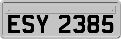 ESY2385