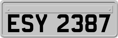 ESY2387
