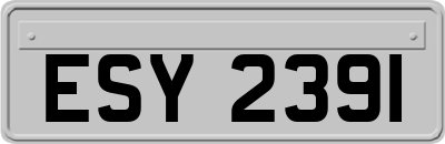 ESY2391